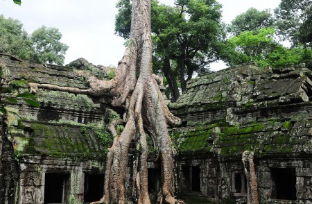 Cambogia 2014